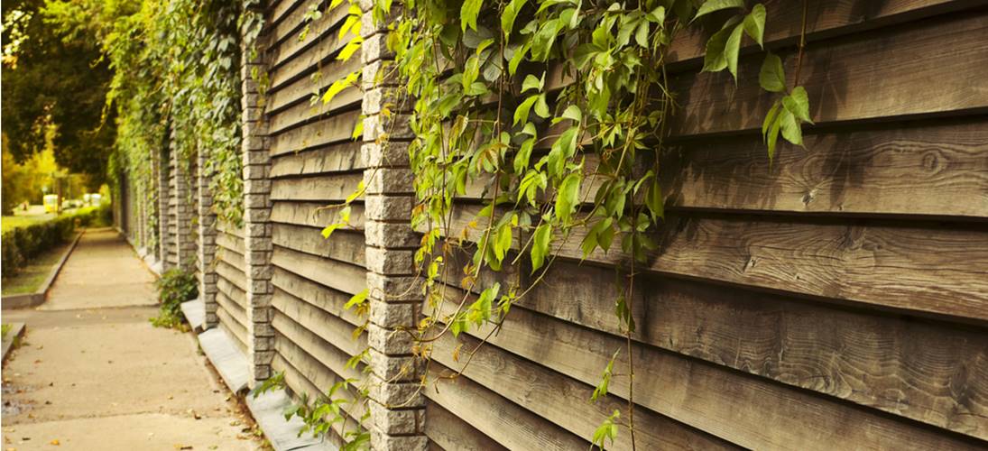 prevent your garden fence from rotting