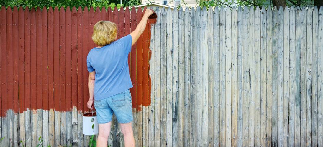 smarten up your garden fencing