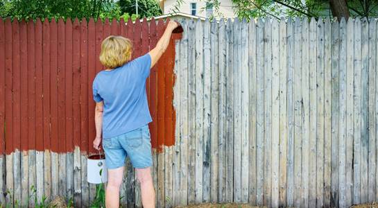 Smarten up your garden fencing