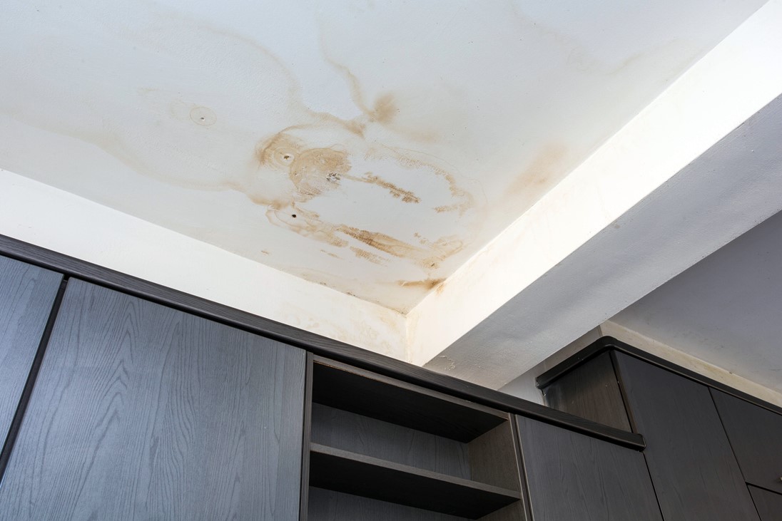 paint-direct-ceiling-stain