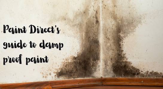 Paint Direct's guide to damp proof paint