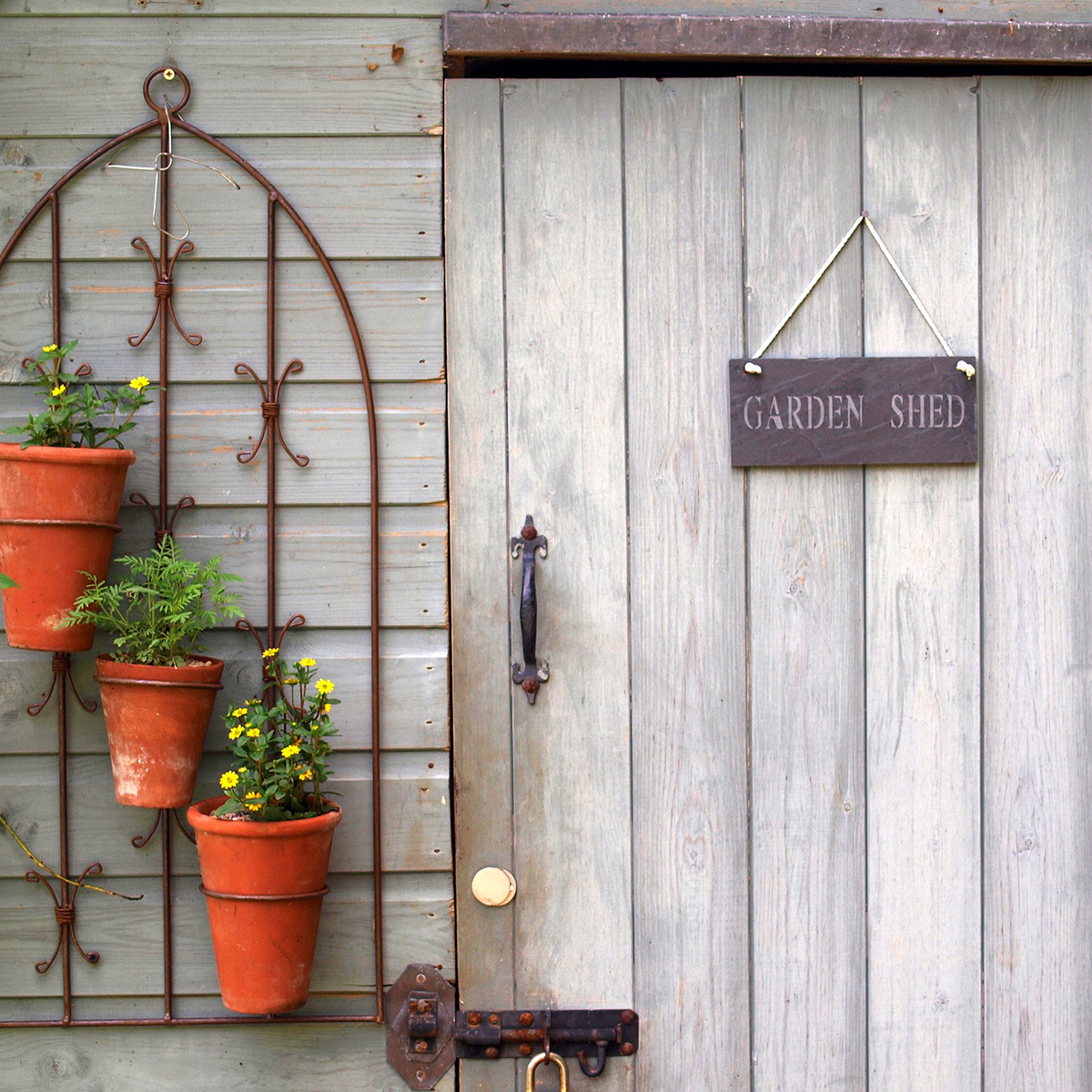 Shed & Fence Paint
